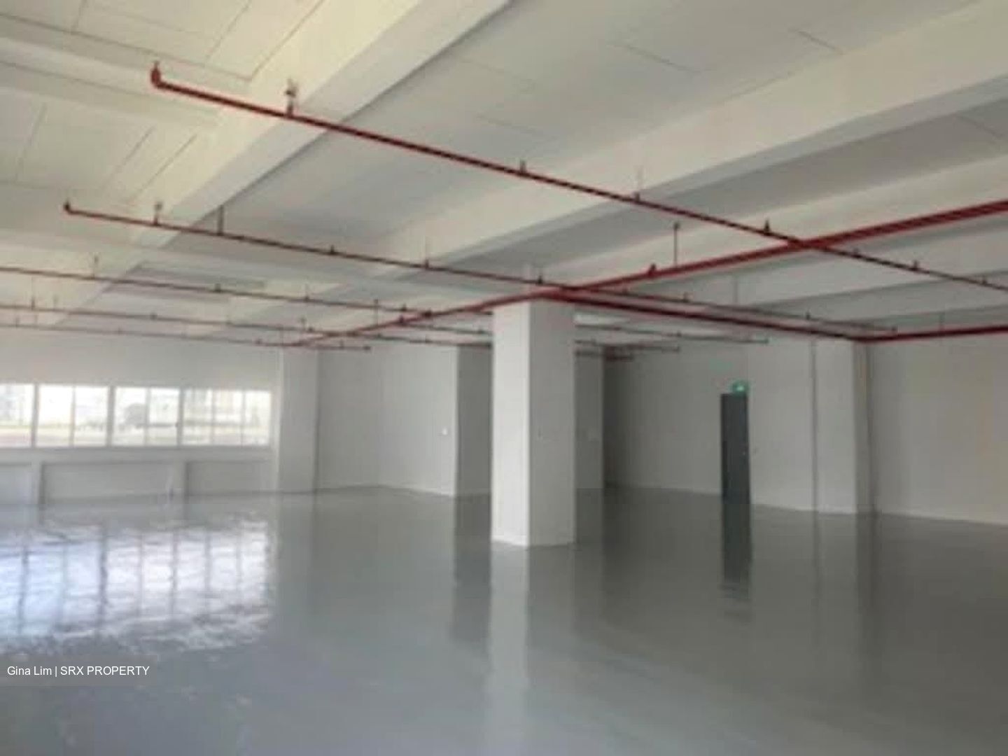 Perfect One (D13), Factory #541625851